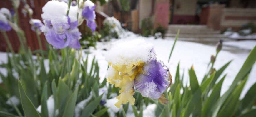 Різке похолодання, шквальний вітер та заморозки: синоптики попереджають про погіршення погоди в Україні — у яких регіонах оголосили про небезпеку