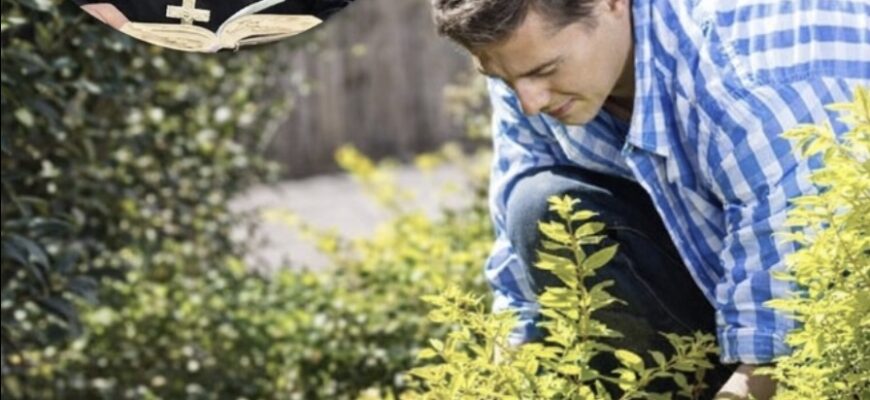 Страсний тиждень. Що категорично не можна робити!? А що потрібно обов’язково Страсний тиждень. Що категорично не можна робити!? А що потрібно обов’язково