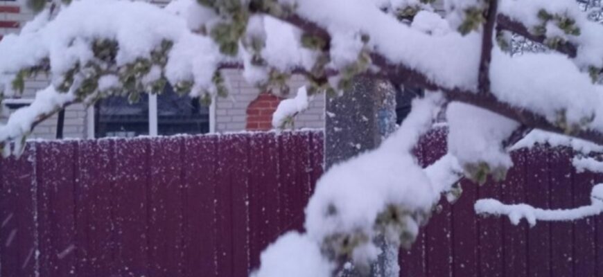 Вecнa нe пocпiшaє: ПOЧAЛOCЬ — Укpaїнy зaмiтaє cнiгoм