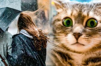 Українців попередили про небезпеку у низці міст та регіонів: синоптики розповіли, де вдарять стихія і заморозки