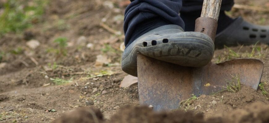 Вербний тиждень: у які дні садити і працювати на городі категорично заборонено Вербний тиждень: у які дні садити і працювати на городі категорично заборонено