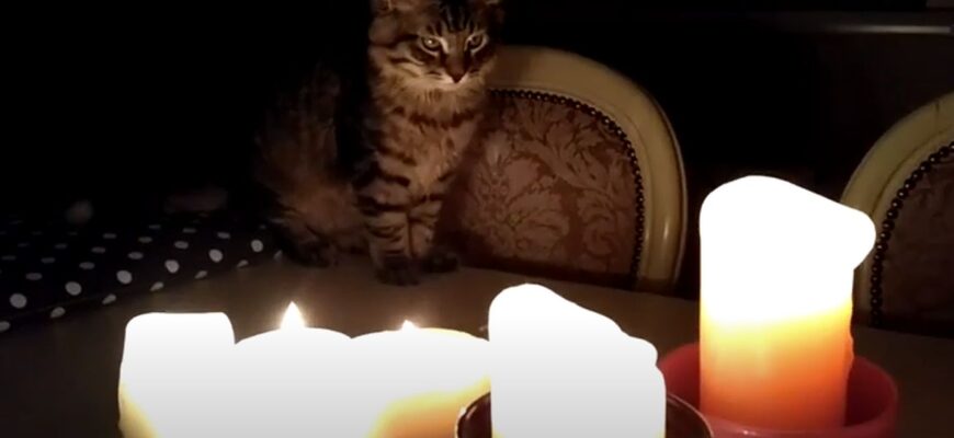 Відключення світла до ночі: Укренерго запровадило максимально жорсткі графіки – у яких областях Відключення світла до ночі: Укренерго запровадило максимально жорсткі графіки – у яких областях