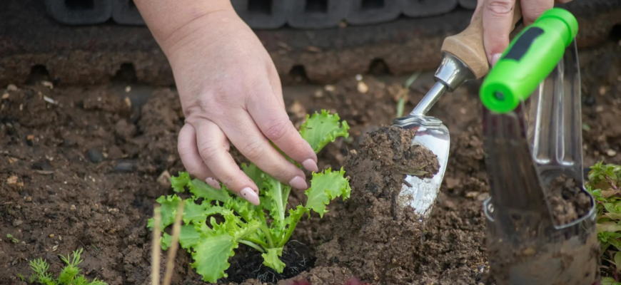 Чи можна садити город під час Страсного тижня – який день найсуворіший Чи можна садити город під час Страсного тижня – який день найсуворіший