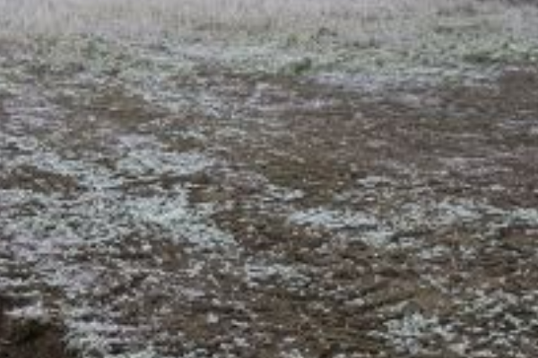 ЗАВТРА, 13 квітня – влуплять заморозки: в яких містах ЗАВТРА, 13 квітня – влуплять заморозки: в яких містах