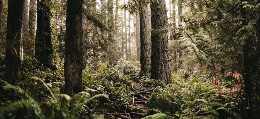 Жінка з немовлям та підлітка загинули через популярну великодню традицію: що сталося Жінка з немовлям та підлітка загинули через популярну великодню традицію: що сталося