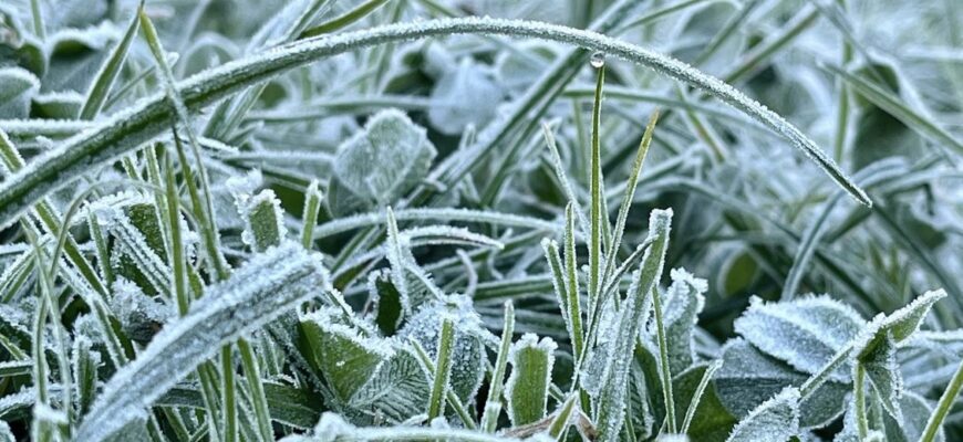 Мешканців Івано-Франківщини попереджають про сильні заморозки Мешканців Івано-Франківщини попереджають про сильні заморозки