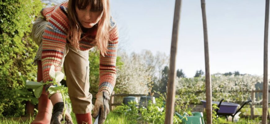 Велика субота 2026: чи можна виходити на город 11 квітня Велика субота 2026: чи можна виходити на город 11 квітня