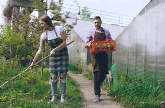 Хаотичне садівництво: чому ідеальні клумби більше не в моді