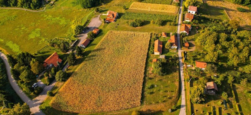 Накладання земельних ділянок: покрокова інструкція, як не втратити свою землю через сусідів