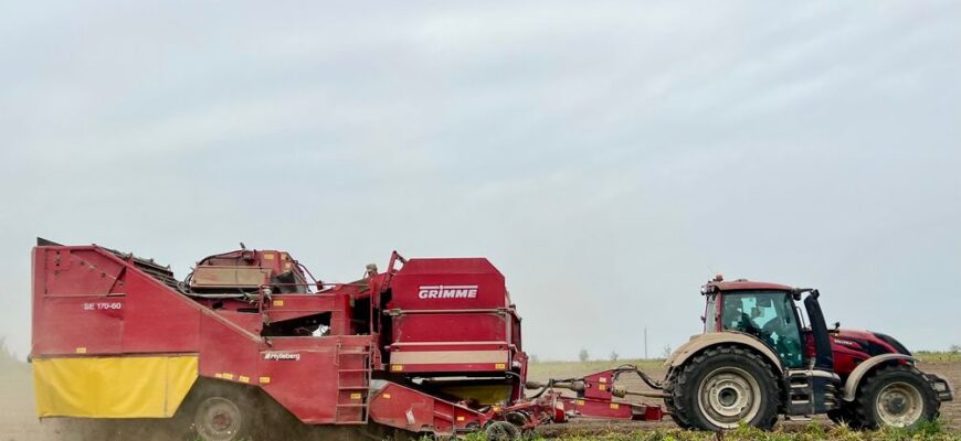 Втратив усе в окупації, але повернувся: історія фермера, який відроджує поля на Херсонщині