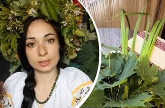 Три дерева, гілки яких категорично не можна приносити в дім на Трійцю: народні заборони