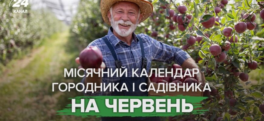 Секрети багатого врожаю: як фази Місяця визначають успіх на городі у червні