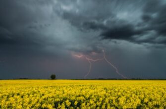Готуйте парасолі: погода в Україні 17 травня різко змінить вектор – чого чекати від неба?