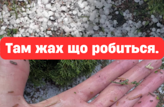 Стихія лютує: Україну накрила серія руйнівних буревіїв, є перші наслідки