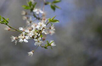 День ангела 16 травня: хто відзначає іменини та чому це важливо знати саме зараз?