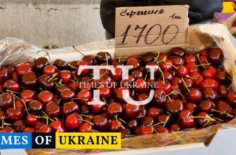Перша черешня у Києві: чому ціни на сезонну ягоду сягають 1700 гривень