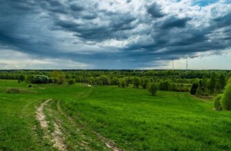 Погода в Україні різко погіршиться: синоптики попереджають про штормовий вітер та похолодання