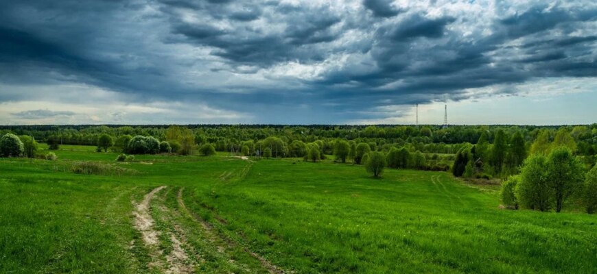 Погода в Україні різко погіршиться: синоптики попереджають про штормовий вітер та похолодання