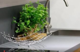 Не поспішайте мити ці 5 продуктів: експерти попередили про приховану небезпеку