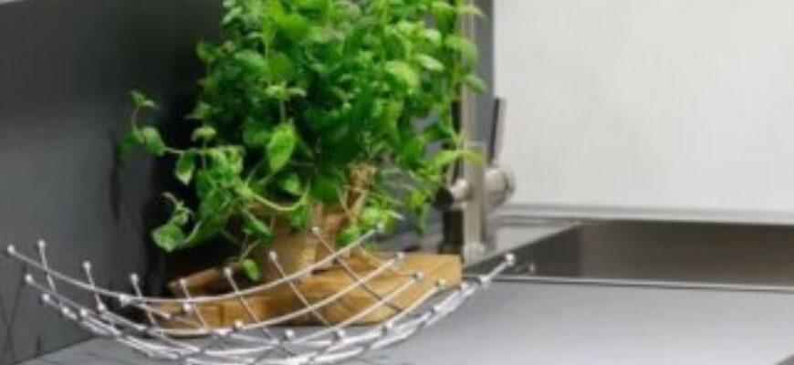 Не поспішайте мити ці 5 продуктів: експерти попередили про приховану небезпеку