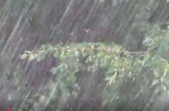🌦️ Різкий поворот погоди: що чекати українцям 8 травня? 🌩️