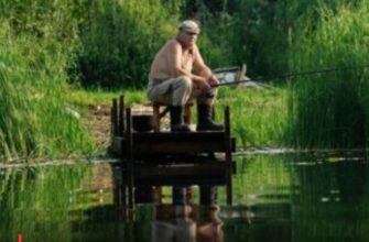 Додаткові виплати та пільги для пенсіонерів: хто має право на статус «ветерана праці» та як його оформити