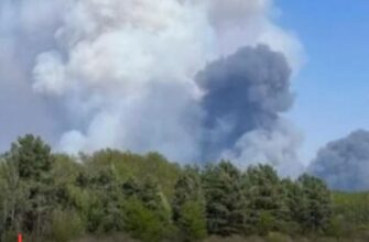 Гігантська пожежа в Чорнобильській зоні: названа причина займання та наслідки
