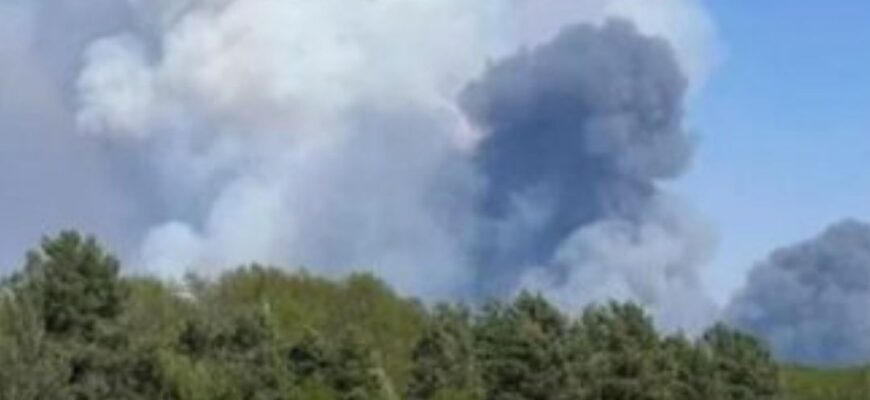 Гігантська пожежа в Чорнобильській зоні: названа причина займання та наслідки