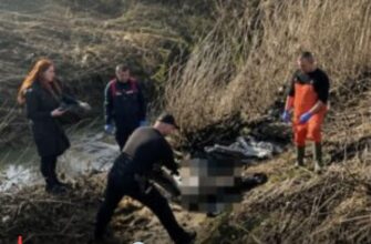 Жорстоке вбивство 11-річного хлопчика на Львівщині: нові деталі трагедії