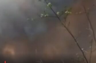 Величезна лісова пожежа на Чернігівщині: як вогонь розвернувся проти окупантів
