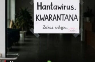 «Хантавірус підбирається до України»: у Польщі вперше запровадили карантин через загрозу епідемії