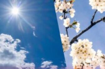 Повітря розігріється до +29: синоптикиня відповіла, чи буде різка зміна погоди в Україні