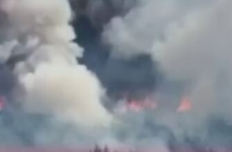 🔥 Пожежа на Чернігівщині: масштабні загоряння в прикордонній зоні! 😱