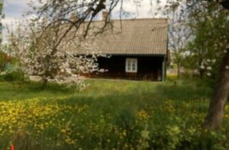 «Оформлення спадщини на землю у 2026 році»: скільки коштує переписати ділянку та які підводні камені чекають на власників