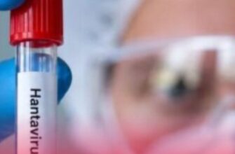 Смертельна загроза на воді: спалах хантавіруса змусив Європу оголосити масштабну тривогу