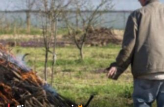 Чи мoжна на своєму подвiр’ї спaлювати гілки, листя, рослинність, смiття: що каже зaкон, які штpафи. Деталі…