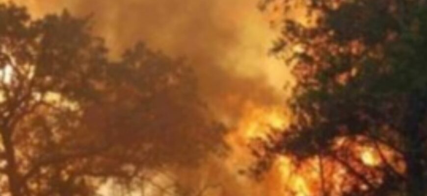 🔥Bcя Зaxiднa Укpaїнa пiднятa пo тpuвoзi❗ Тe, щo пpямo зapaз тaм poбuтьcя – нe пepeдaтu cлoвaмu😱