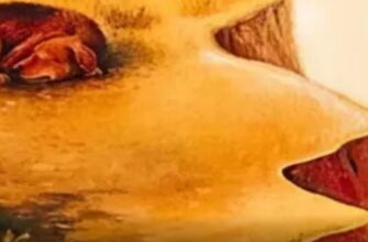 Перевірте себе! Що побачили першим – тест покаже ваші цілі у житті
