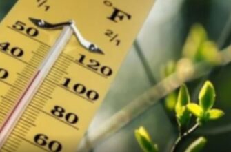 +27‼️Синоптик попередила про різке потепління — коли стане ще спекотніше☀️👇