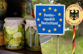 Навіть «гостинці від бабусі» під забороною: що категорично не можна ввозити до Німеччини