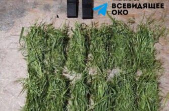 Смертельна пастка у траві: окупанти почали масово закидати Дніпропетровщину прихованими мінами