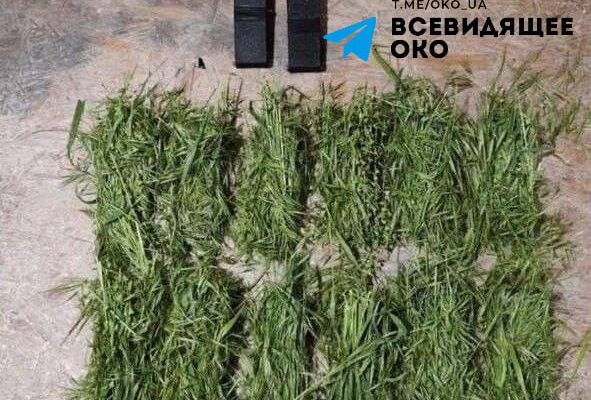 Смертельна пастка у траві: окупанти почали масово закидати Дніпропетровщину прихованими мінами