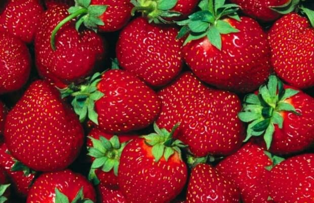 Полуниця може бути небезпечною: кому лікарі категорично радять відмовитися від ягоди
