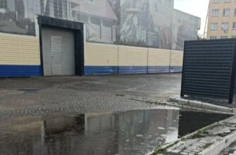 Повалені дерева, затоплені вулиці та град: три обласні центри України накрила негода