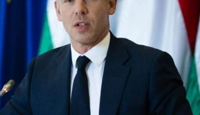 Петер Мадяр висунув Україні жорстку умову для вступу до ЄС: деталі переговорів