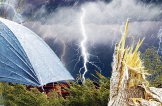 Україну накриє негода: синоптики оголосили штормове попередження на 19 травня