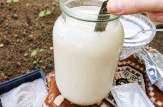 Секретний розчин для огірків: 1 пакетик у воду — і збирайте врожай відрами