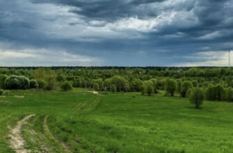 Похолодання зі Скандинавії: Україну накриє штормовий удар та різке зниження температури