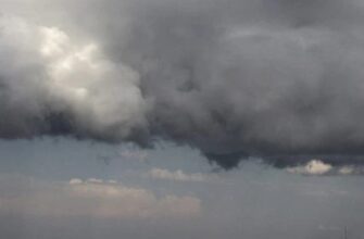 Погода в Україні сильно погіршиться: які регіони накриють дощі та шквали