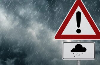 Штормове попередження в Україні: сильний вітер готує випробування для водіїв та комунальників